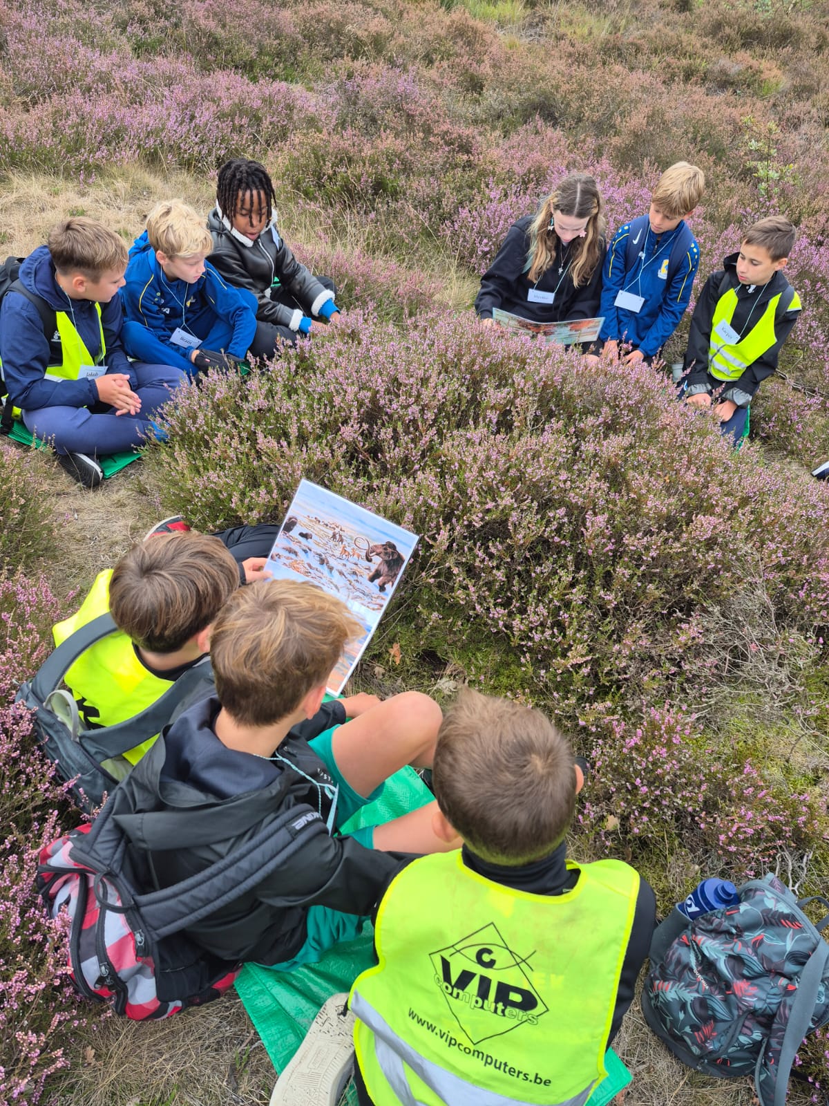 Vegers voor vlinders met L5